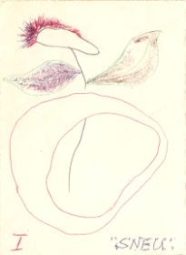 scannen0083.jpg